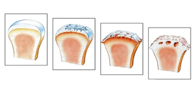 Αιτιολογικό